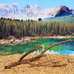 Augmented Landscape Series_Continuum Plate No. 2